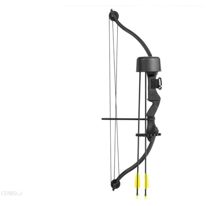 Skriemulinis lankas Poe Lang Druid