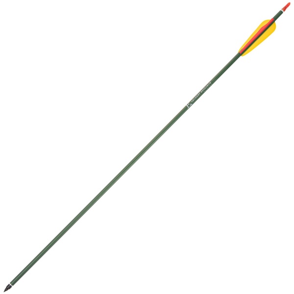 Aliuminė strėlė Poe Lang 31“ 9.2mm