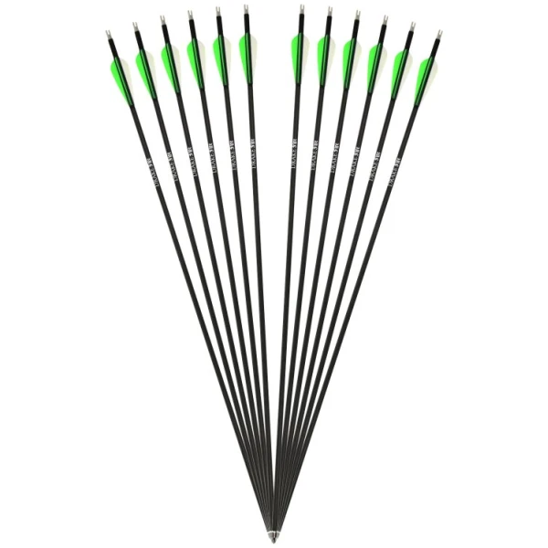 Anglies pluošto strėlės Drake Fire 12vnt